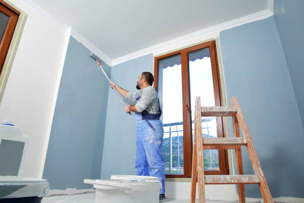 Best Exterior Painting  in Chenoa, IL