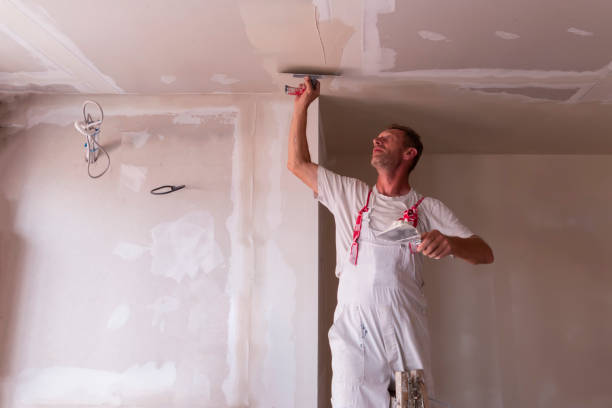 Best Ceiling Drywall Installation  in Chenoa, IL